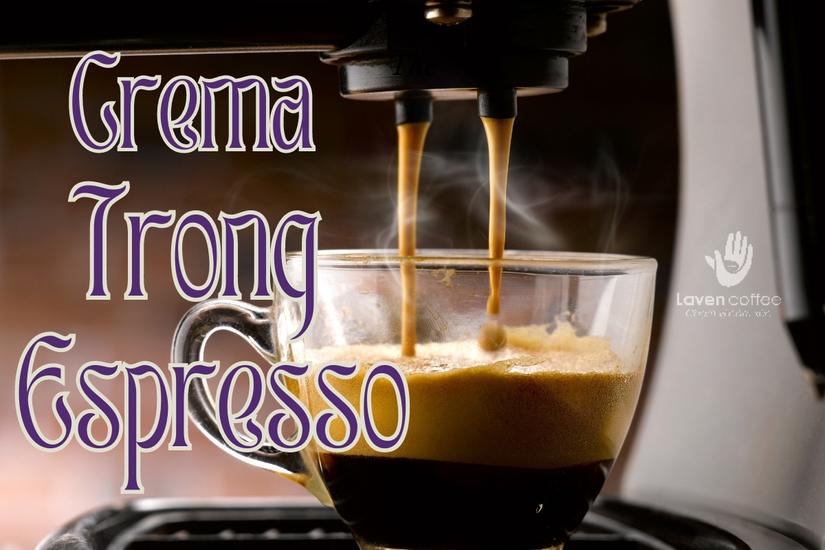 Bật mí lớp crema trong tách Espresso chuẩn cà phê pha máy có gì ?